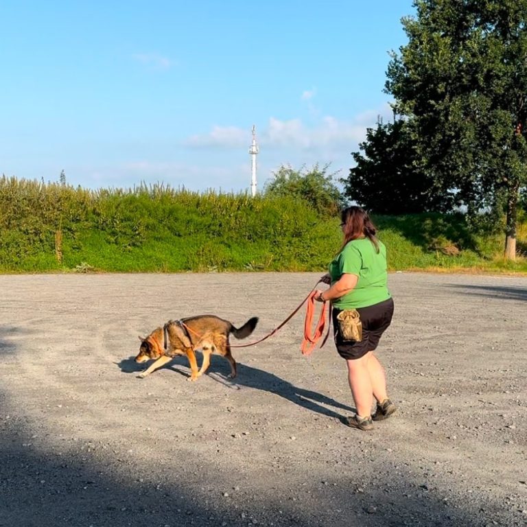 Frau mit Hund spazieren gehen