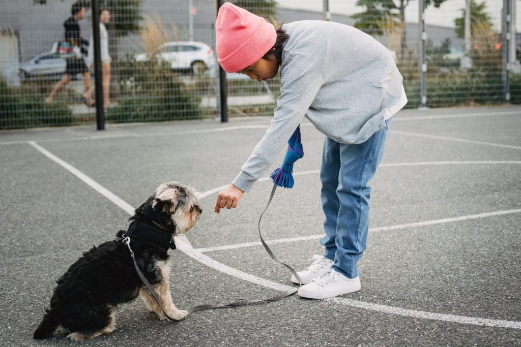 Seitenansicht eines Kindes mit ethnisch vielfältigem Hintergrund in Freizeitkleidung, das einen intelligenten Rassehund auf einem Asphaltbelag in der Stadt trainiert.