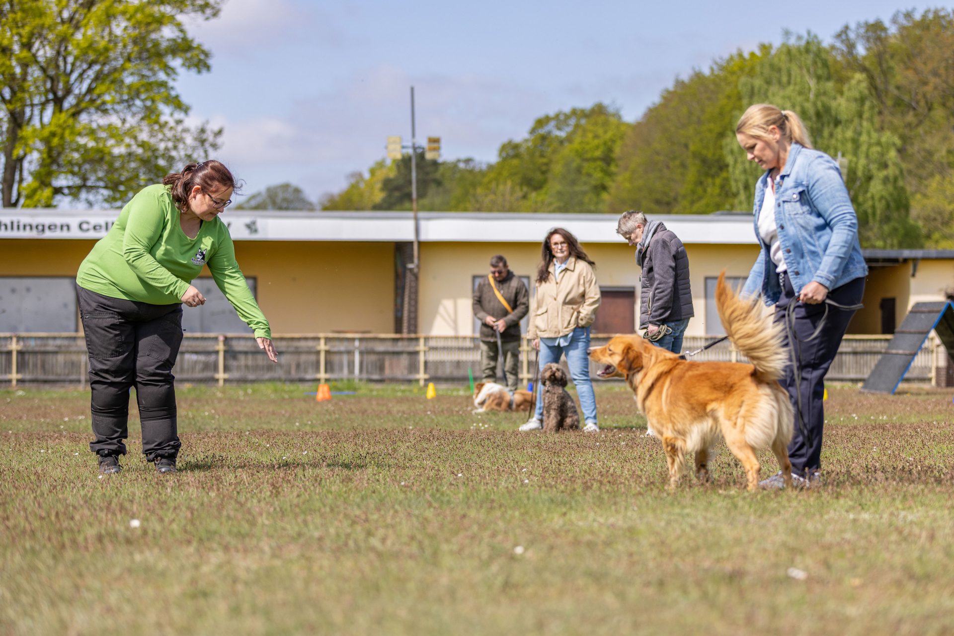 Hundetraining mit Herz, Fachwissen und einem ganzheitlichen Blick