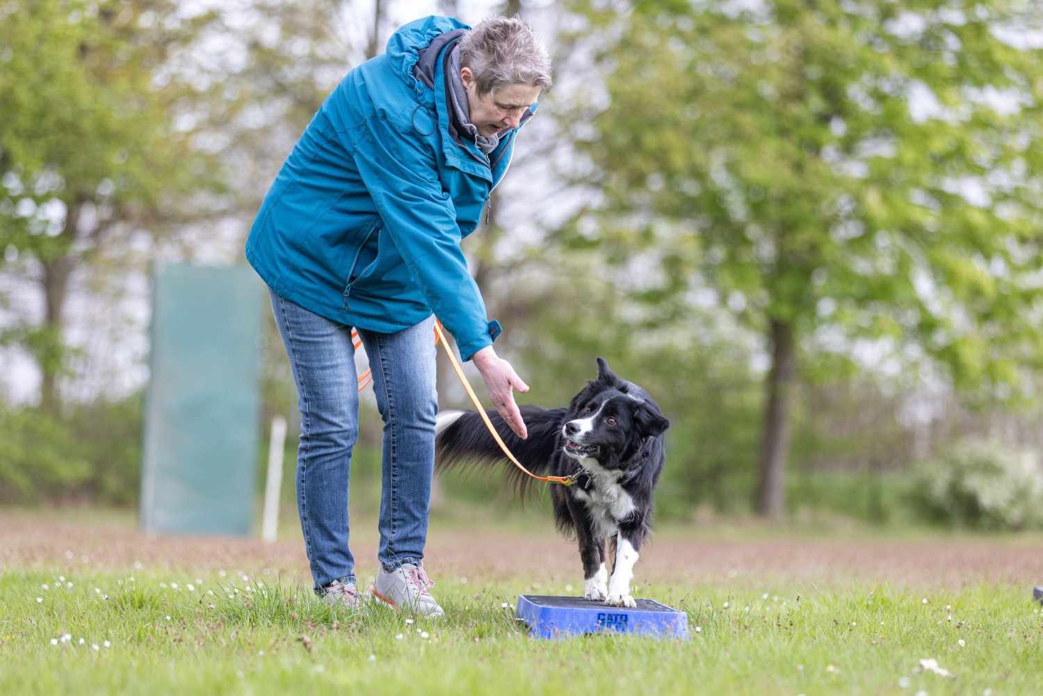 Frau trainiert Hund im Park